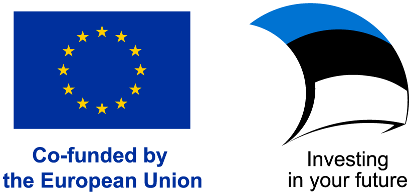 Co-funded by the European Union. Investing in your future.